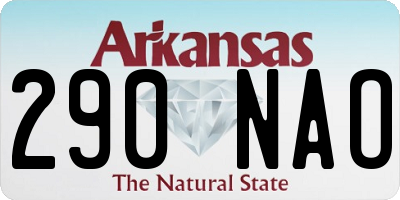 AR license plate 290NAO