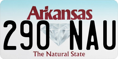 AR license plate 290NAU