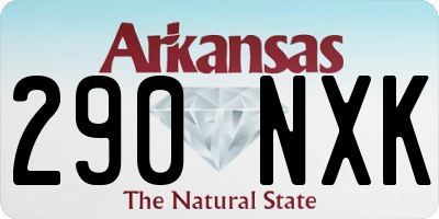 AR license plate 290NXK