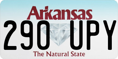 AR license plate 290UPY
