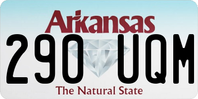 AR license plate 290UQM