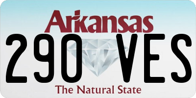 AR license plate 290VES