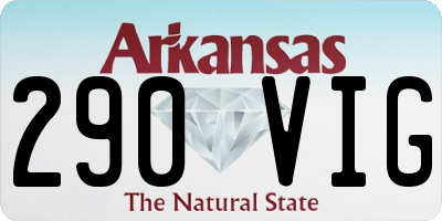 AR license plate 290VIG