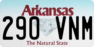 AR license plate 290VNM