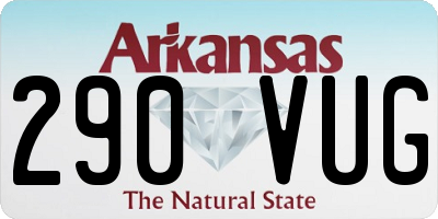AR license plate 290VUG