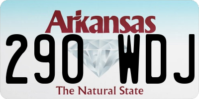 AR license plate 290WDJ