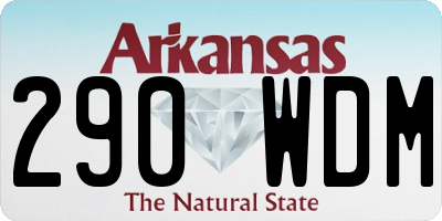 AR license plate 290WDM