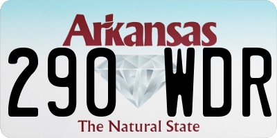 AR license plate 290WDR