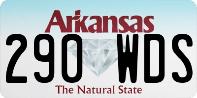 AR license plate 290WDS
