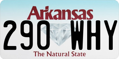 AR license plate 290WHY
