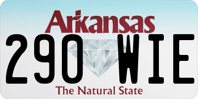 AR license plate 290WIE