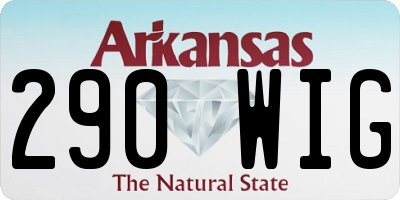 AR license plate 290WIG