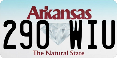 AR license plate 290WIU