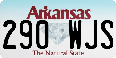 AR license plate 290WJS
