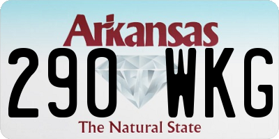 AR license plate 290WKG