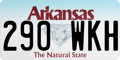AR license plate 290WKH