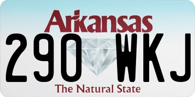 AR license plate 290WKJ