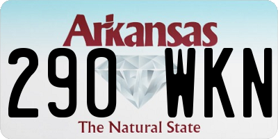 AR license plate 290WKN