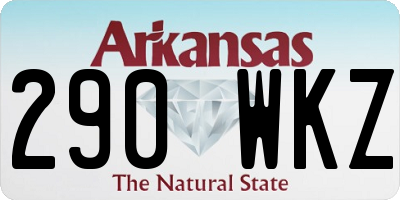 AR license plate 290WKZ