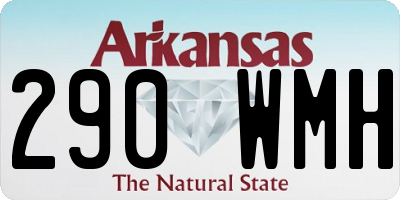 AR license plate 290WMH
