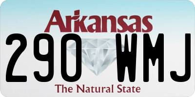 AR license plate 290WMJ