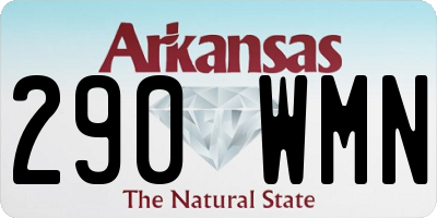 AR license plate 290WMN