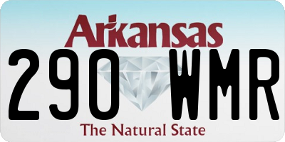 AR license plate 290WMR