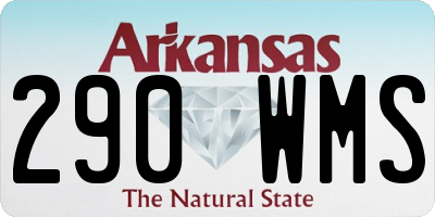 AR license plate 290WMS