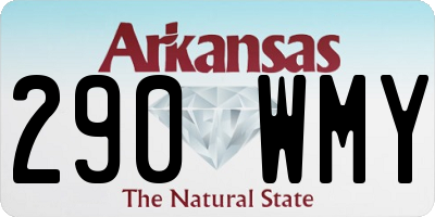 AR license plate 290WMY