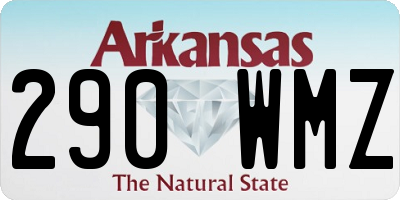 AR license plate 290WMZ