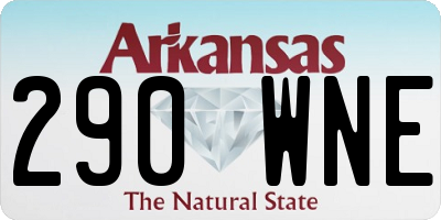 AR license plate 290WNE