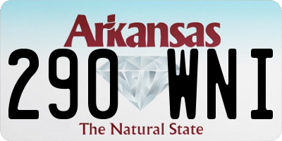 AR license plate 290WNI
