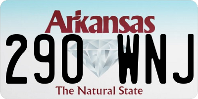 AR license plate 290WNJ