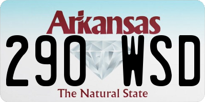 AR license plate 290WSD