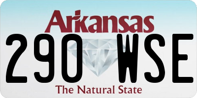 AR license plate 290WSE
