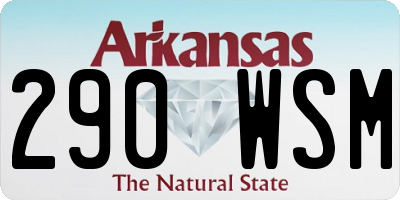 AR license plate 290WSM