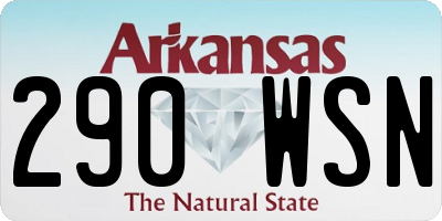 AR license plate 290WSN