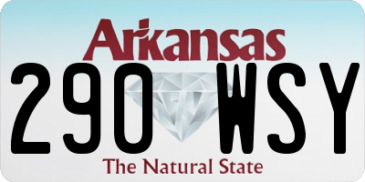 AR license plate 290WSY
