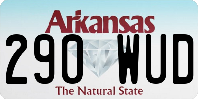 AR license plate 290WUD