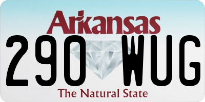 AR license plate 290WUG