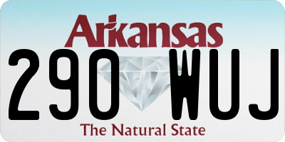 AR license plate 290WUJ