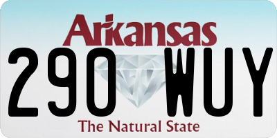 AR license plate 290WUY