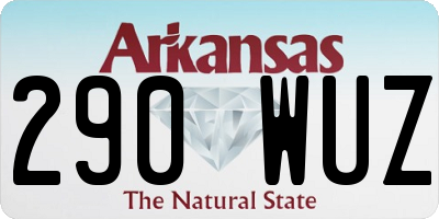 AR license plate 290WUZ
