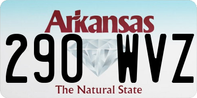 AR license plate 290WVZ