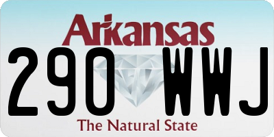 AR license plate 290WWJ