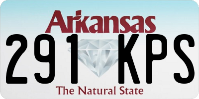 AR license plate 291KPS