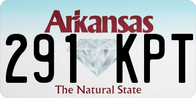 AR license plate 291KPT