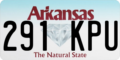 AR license plate 291KPU