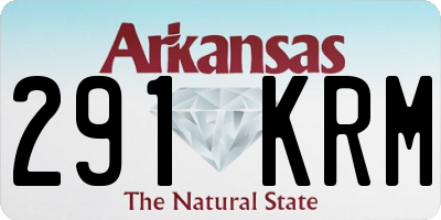 AR license plate 291KRM