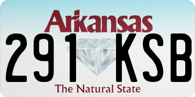 AR license plate 291KSB